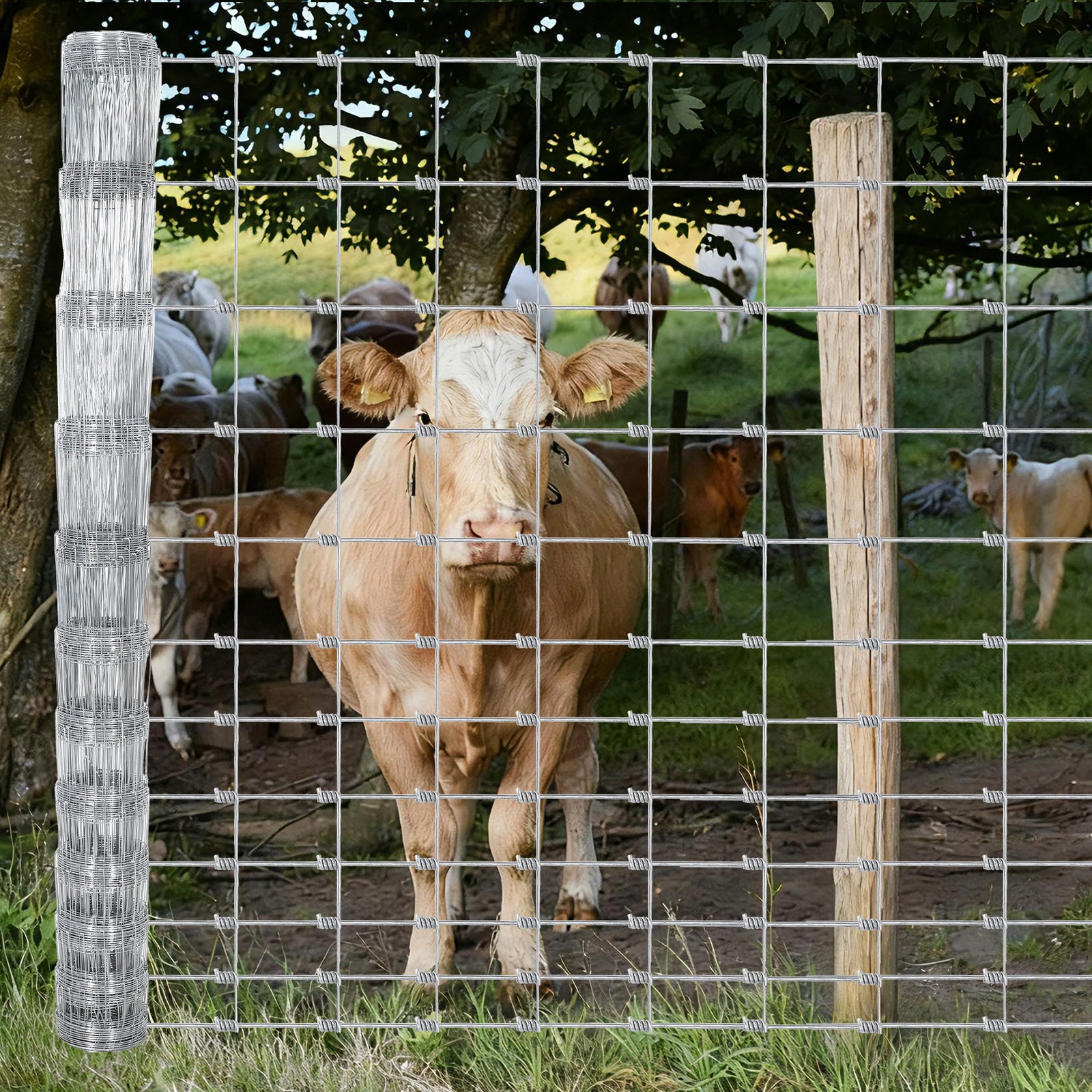 Galvanized Farm Fence 164ft 328ft Roll 14 Gauge Wire Mesh for Goats Deer Cattle Galvanized Farm Fence 164ft 328ft Roll 14 Gauge Wire Mesh for Goats Deer Cattle