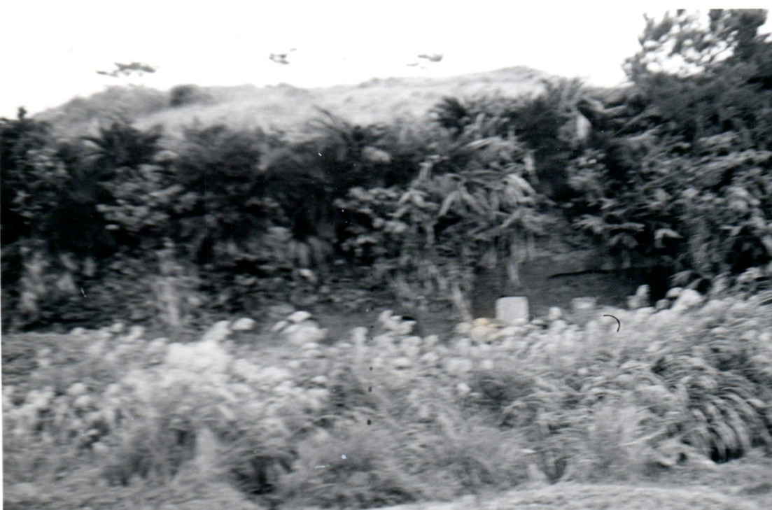 Okinawa 1953 Traditional Okinawan Hillside Tomb Overgown Brush White Panel Door Okinawa 1953 Traditional Okinawan Hillside Tomb Overgown Brush White Panel Door