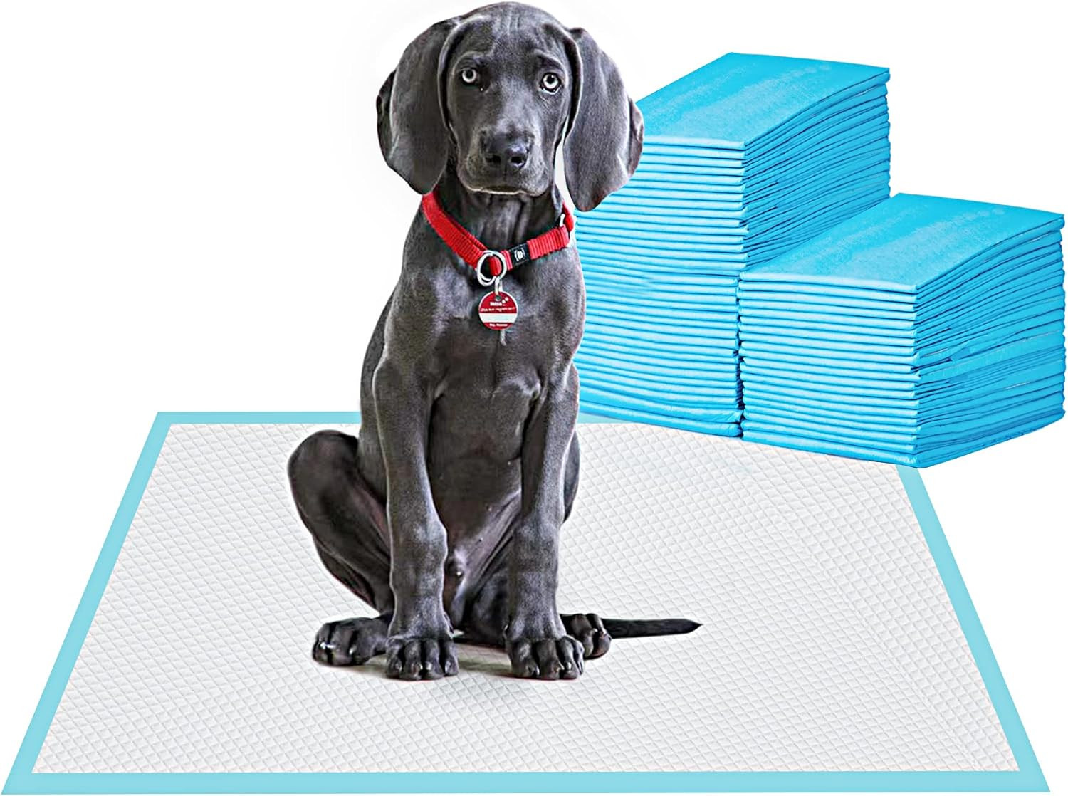 Quick Absorb 23.6×23.6 Inch Dog Pee Pads 100pcs  for Dogs & Cats