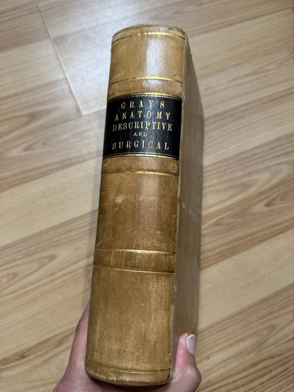 1878 GRAY\'S ANATOMY  DESCRIPTIVE AND SURGICAL Book Great Condition Antique