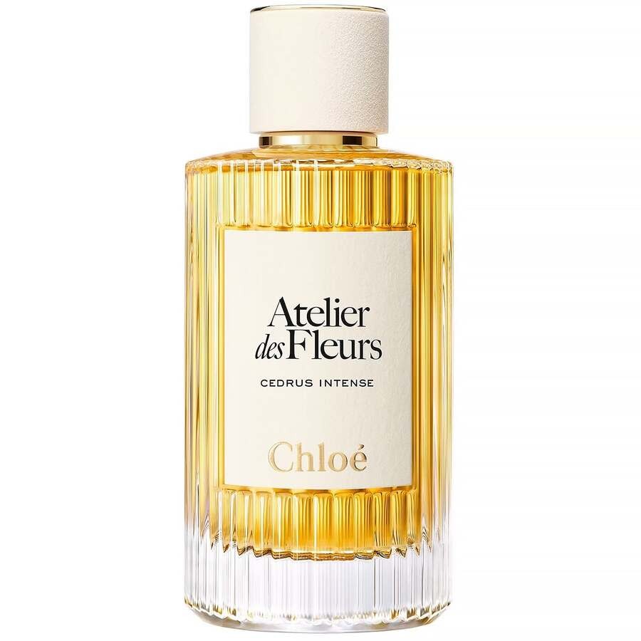 Chloe Ladies Cedrus Intense EDP Spray 1.7 oz Fragrances 3616305259523
