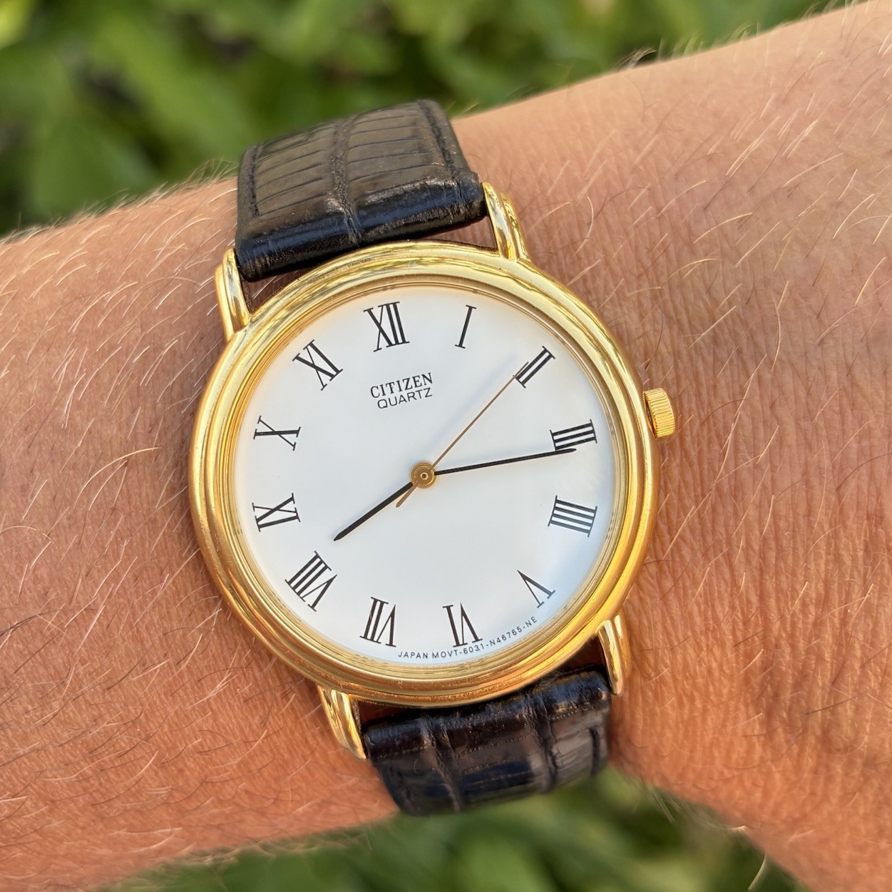 BEAUTIFUL Citizen Men’s Classic Dress Watch