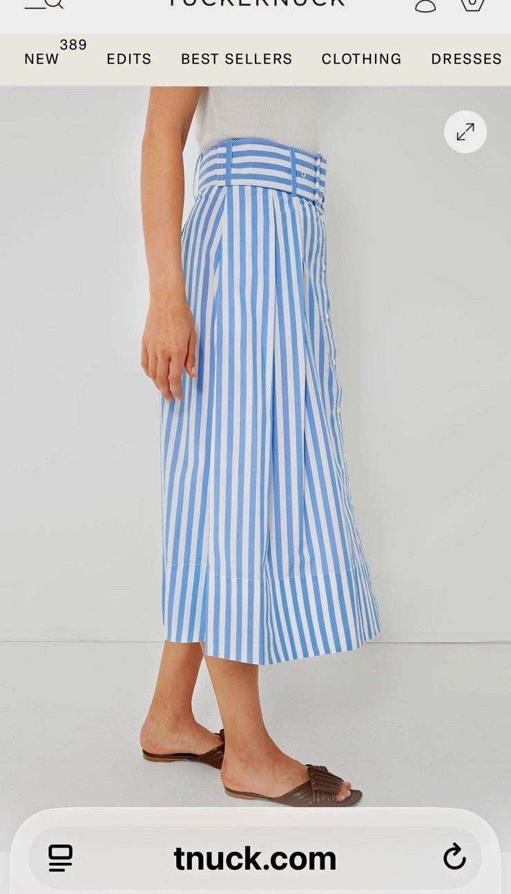 STAUD Blue White Striped Cotton A-Line Midi Skirt Belted Button Front Women’s 4 STAUD Blue White Striped Cotton A-Line Midi Skirt Belted Button Front Women’s 4