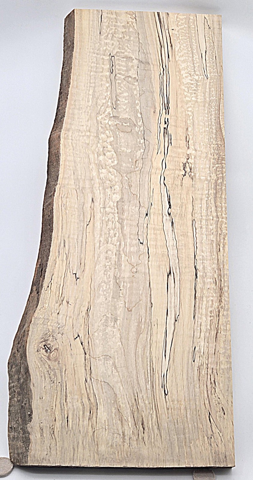 Spalted Live Edge Curly Maple Board – Ideal for Custom Woodwork