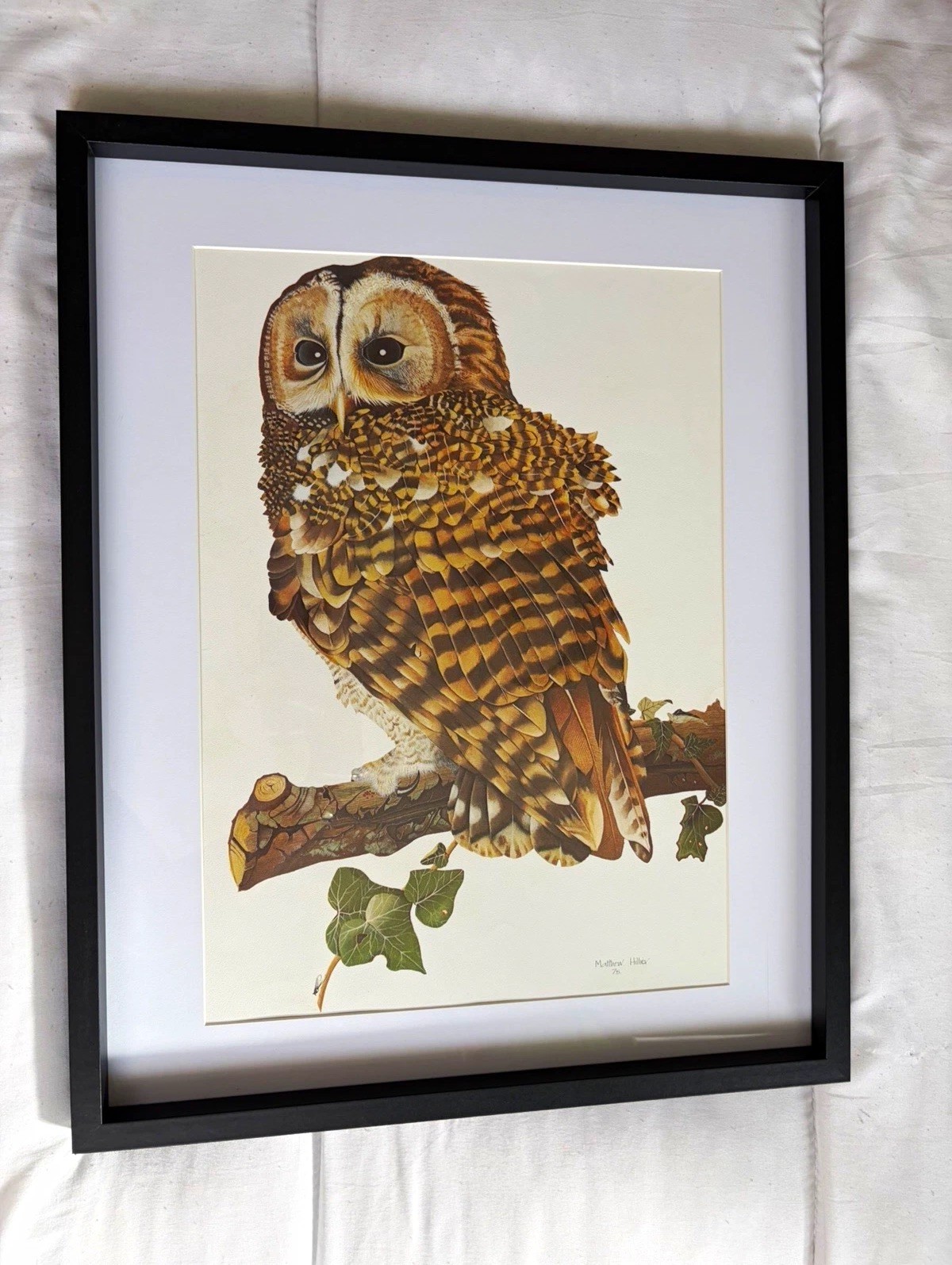 Large Vintage Framed Tawny Owl Print By Matthew Hillier vgc Large Vintage Framed Tawny Owl Print By Matthew Hillier vgc