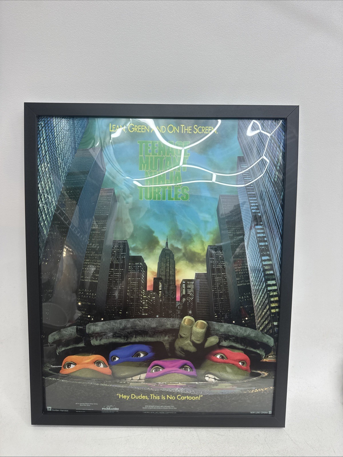 Rare 1990 Teenage Mutant Ninja Turtles Poster TMNT Movie MINT Poster Only Rare 1990 Teenage Mutant Ninja Turtles Poster TMNT Movie MINT Poster Only
