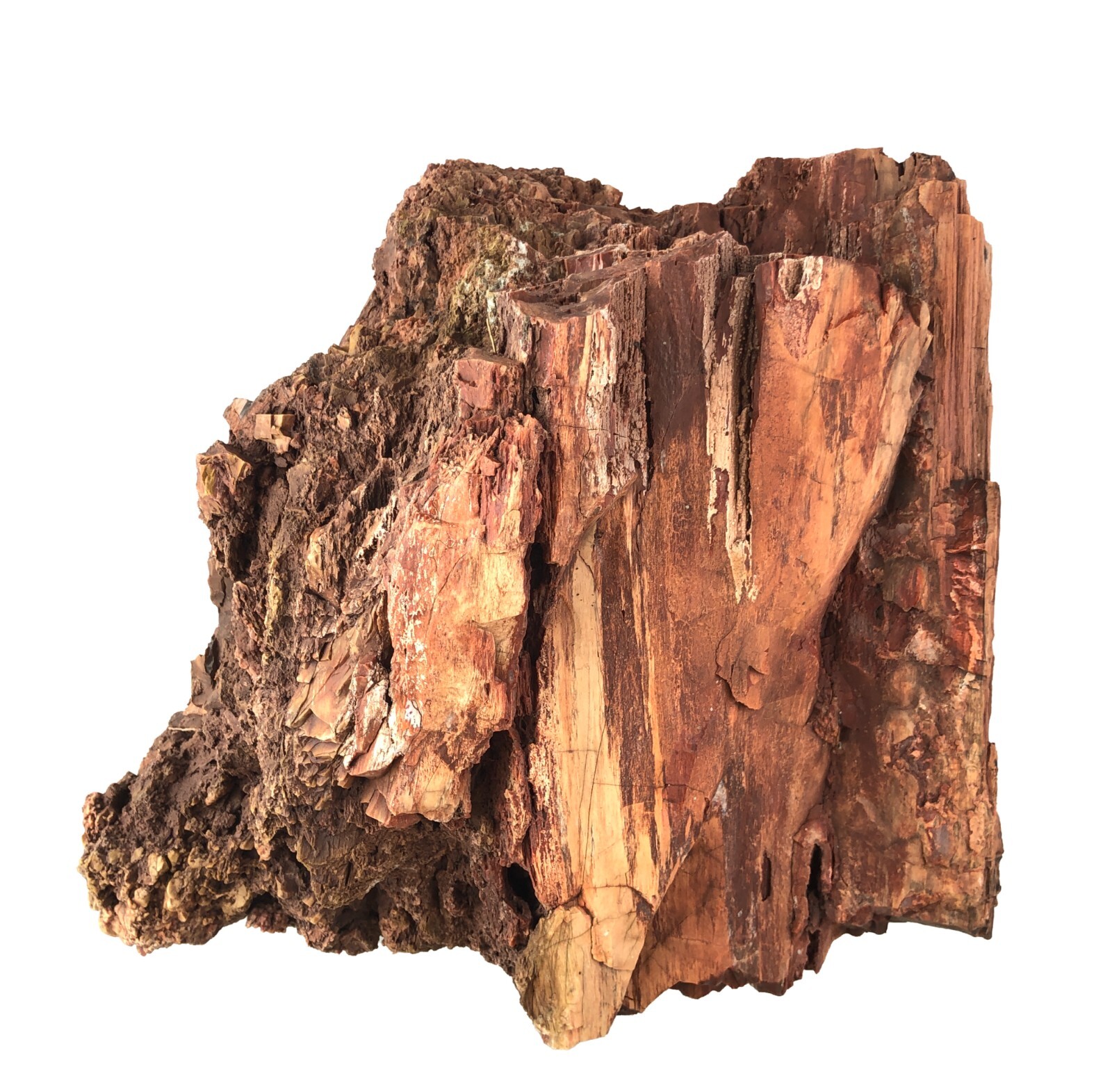 Big ~24 lb Chunk Reddish Petrified Wood 9 x 9 x 9\ Big ~24 lb Chunk Reddish Petrified Wood 9 x 9 x 9\