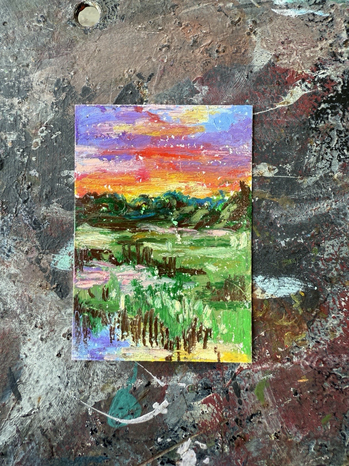 ACEO Original Art 2.5x3.5 in. Oil Pastel Landscape Everglades .saraheliart ACEO Original Art 2.5x3.5 in. Oil Pastel Landscape Everglades .saraheliart