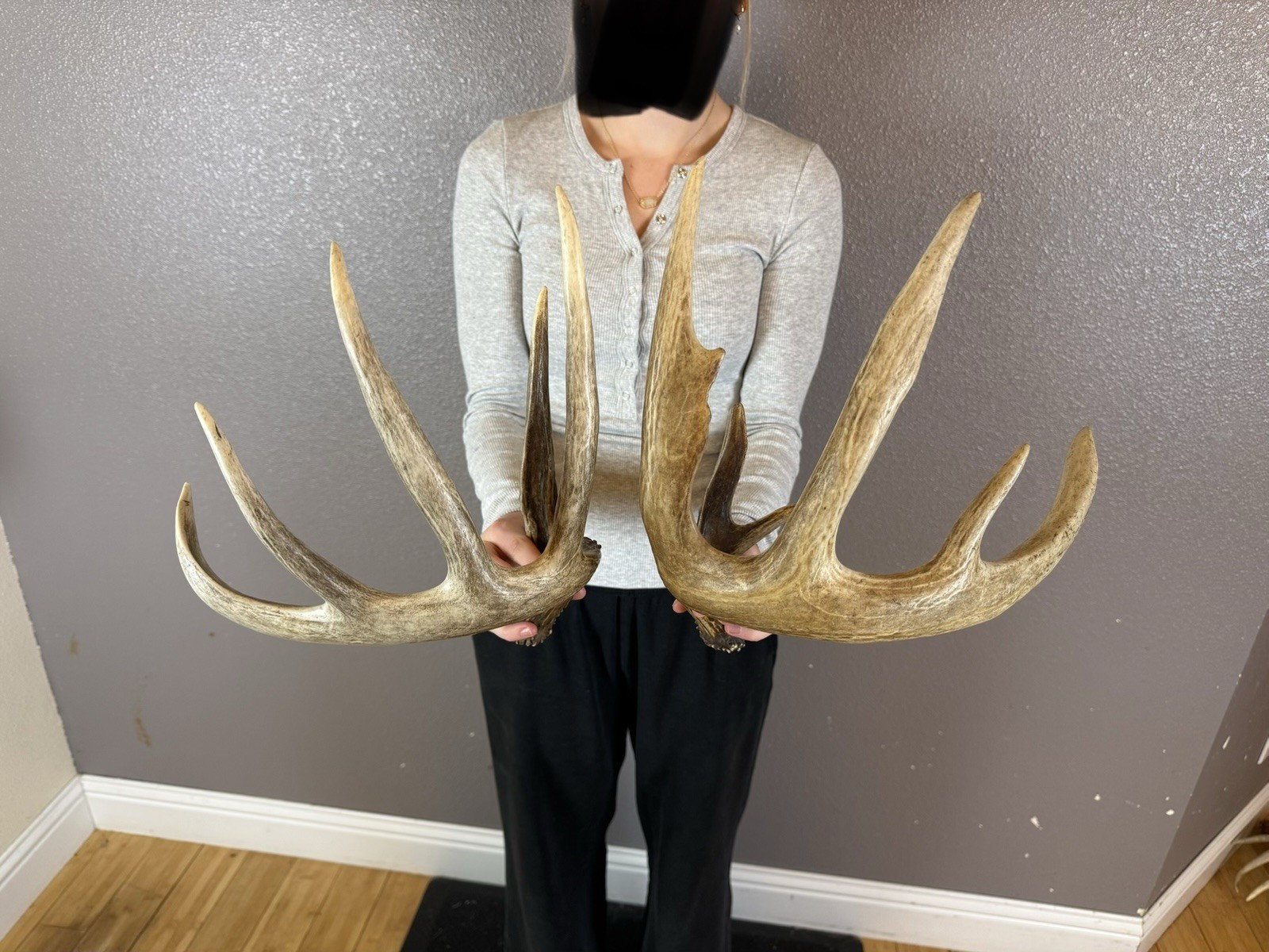 Two 5pt Whitetail Deer Antlers Sheds WILD IDAHO Horns Rustic Decor Rattling Set Two 5pt Whitetail Deer Antlers Sheds WILD IDAHO Horns Rustic Decor Rattling Set