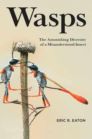 Wasps: The Astonishing Diversity of a - Hardcover, by Eaton Eric R. - New h Wasps: The Astonishing Diversity of a - Hardcover, by Eaton Eric R. - New h