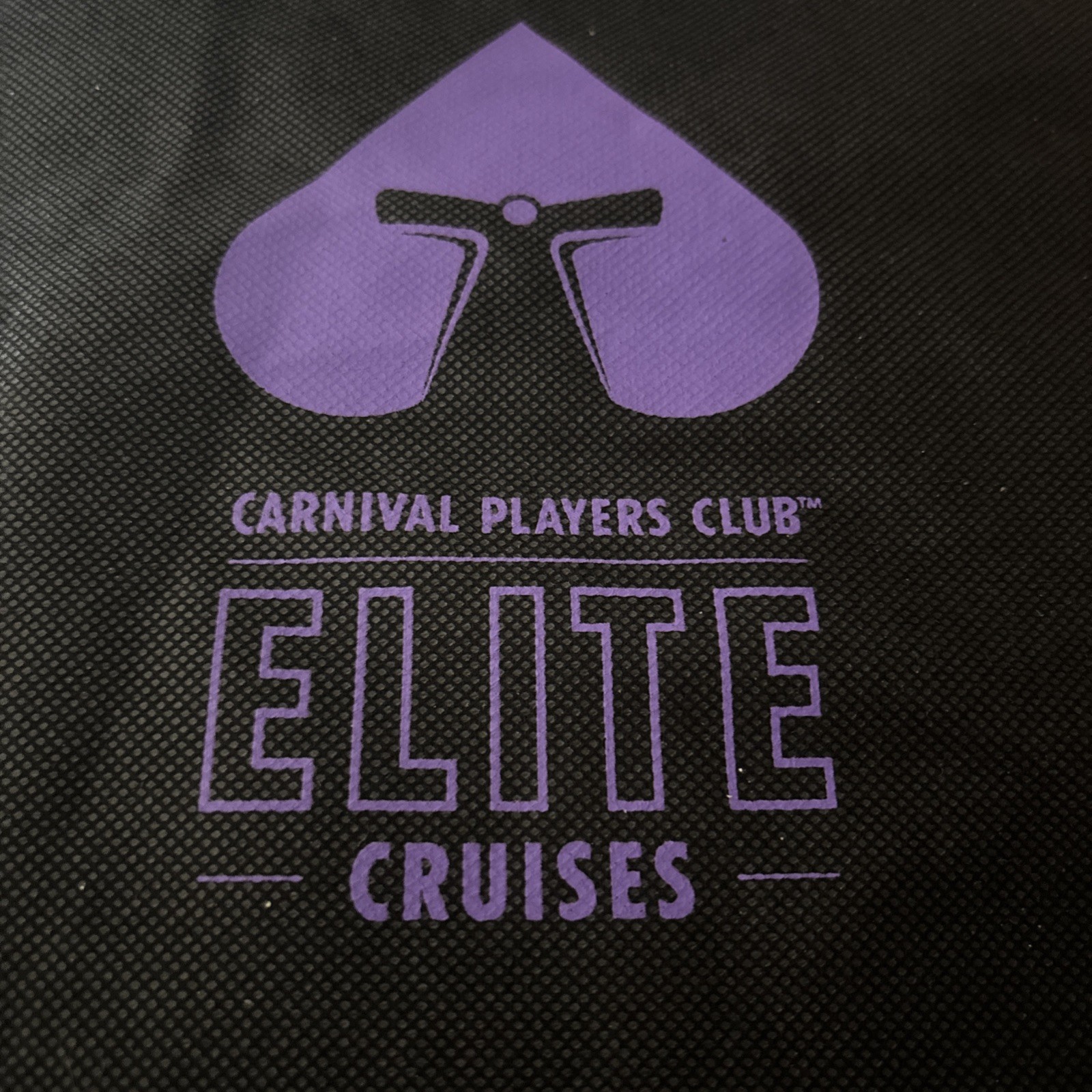 Carnival Cruise Line Elite Players Large Back Pack With Drawstring Bag New Carnival Cruise Line Elite Players Large Back Pack With Drawstring Bag New