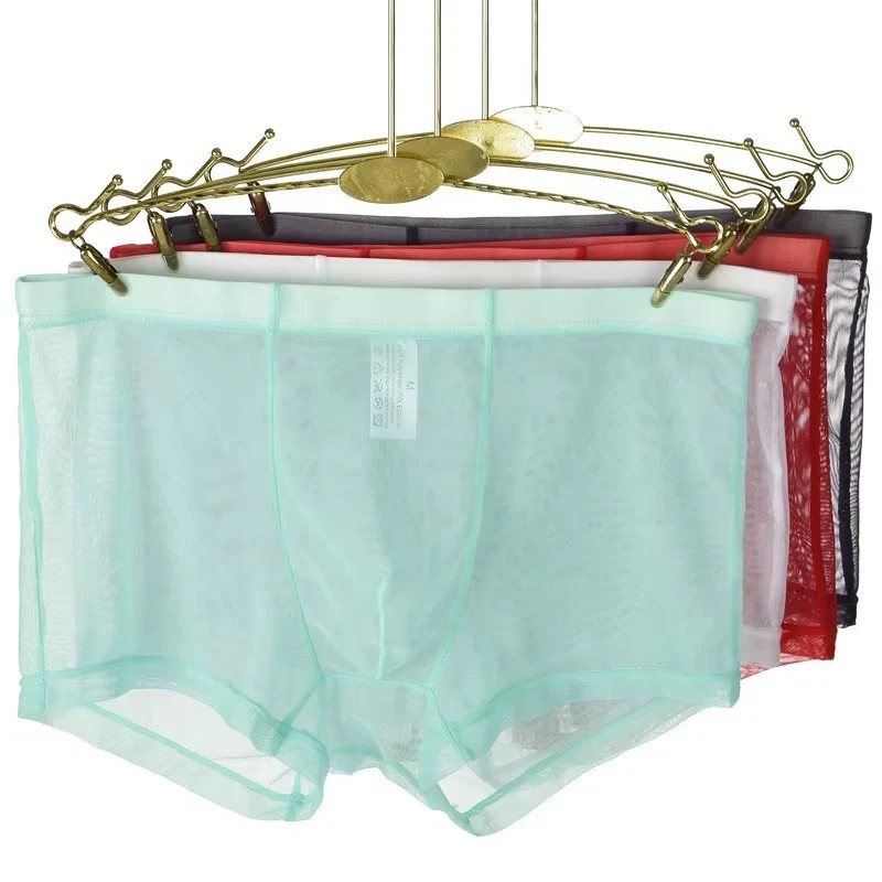 Transparent Boxers See Through Male Underpants Sexy Low Waist Panties Underwear