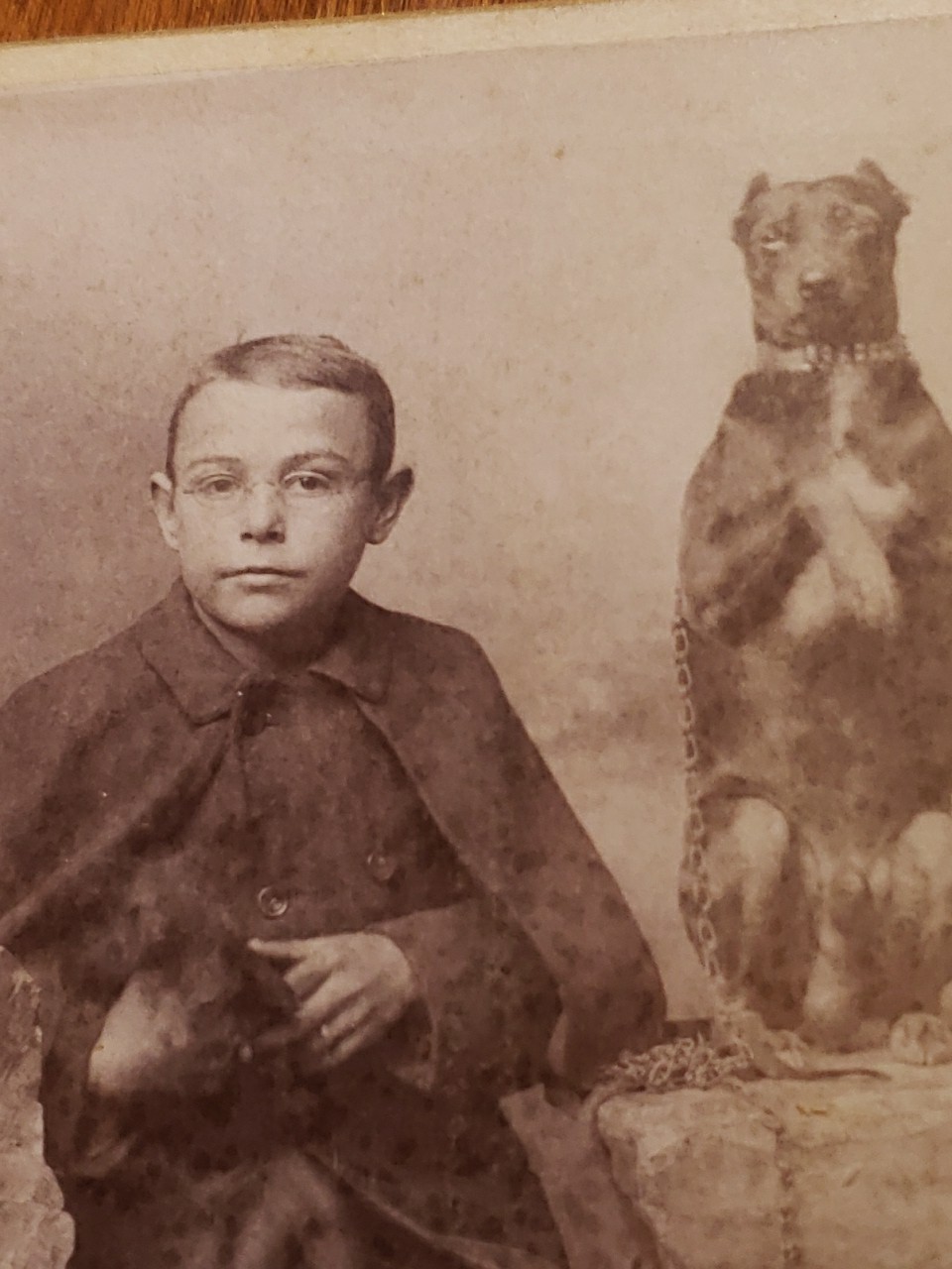 Antique 1890s Cabinet Card Photo Boy with Trained Trick Dog Performing Rogers VA