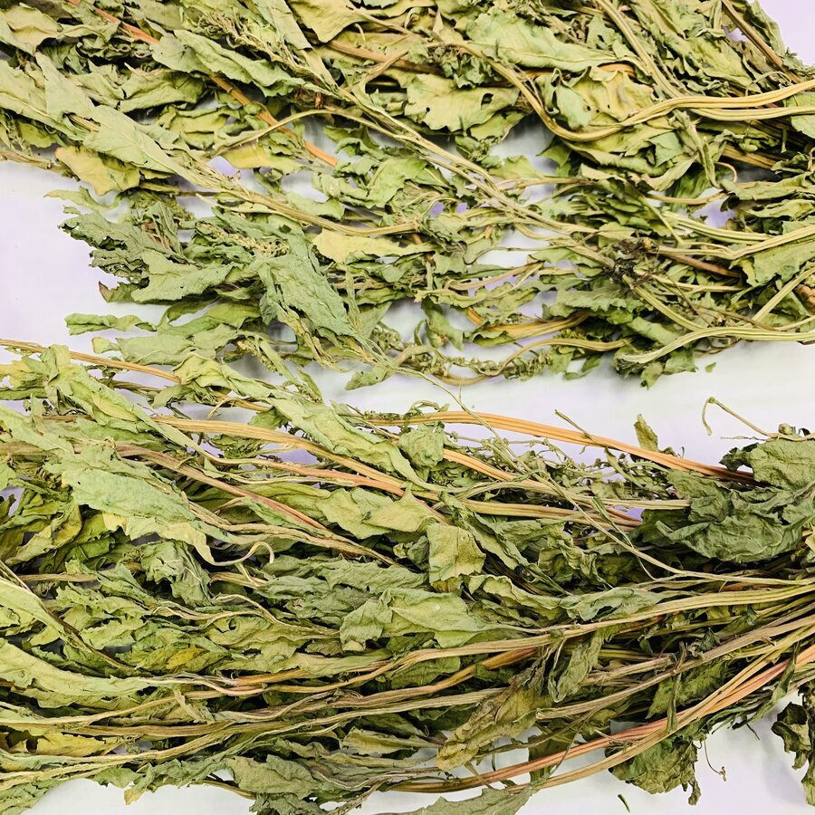 WHOLESALE Dried Epazote Leaves Hojas de Epazote Bulk Leaves 
