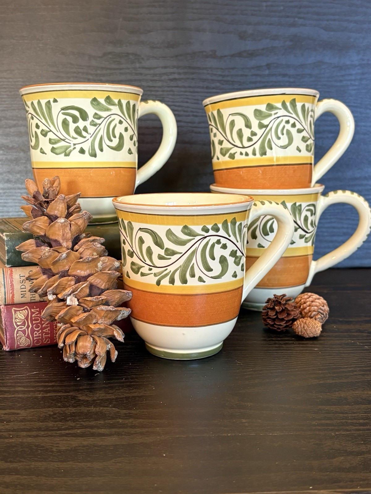 Pier 1 Umbrina Mugs Set of 4 Handpainted Earthenware Made in Italy