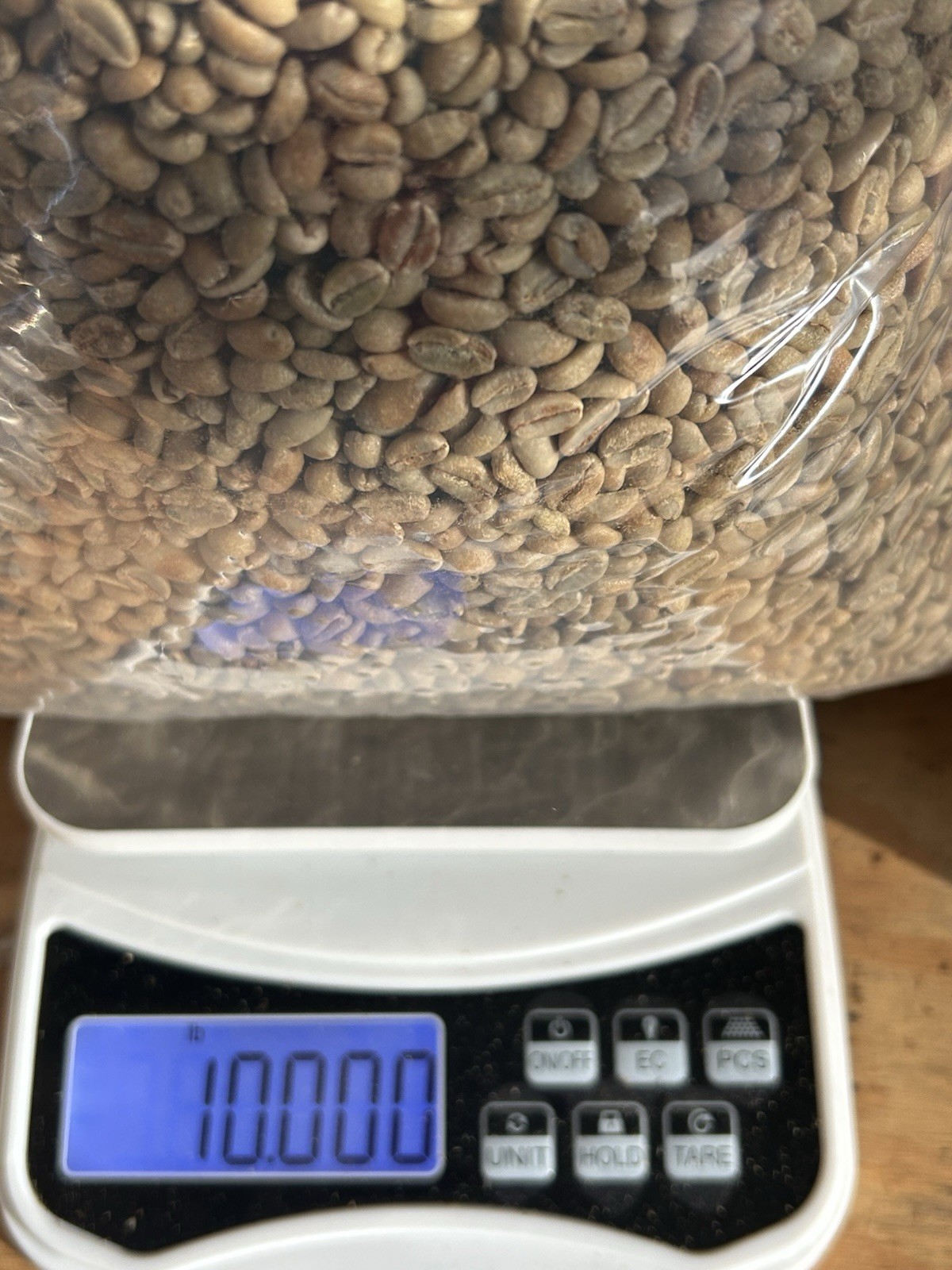 #10 Green Guatemala San Marcos Robusta Coffee #10 Green Guatemala San Marcos Robusta Coffee