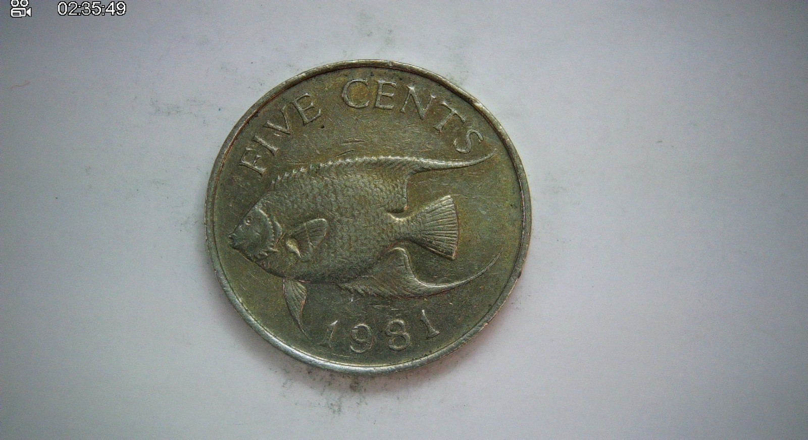Bermuda 1981 5 Cents Bermuda 5 Cents (Queen Elizabeth II; fish reverse) Coin Bermuda 1981 5 Cents Bermuda 5 Cents (Queen Elizabeth II; fish reverse) Coin