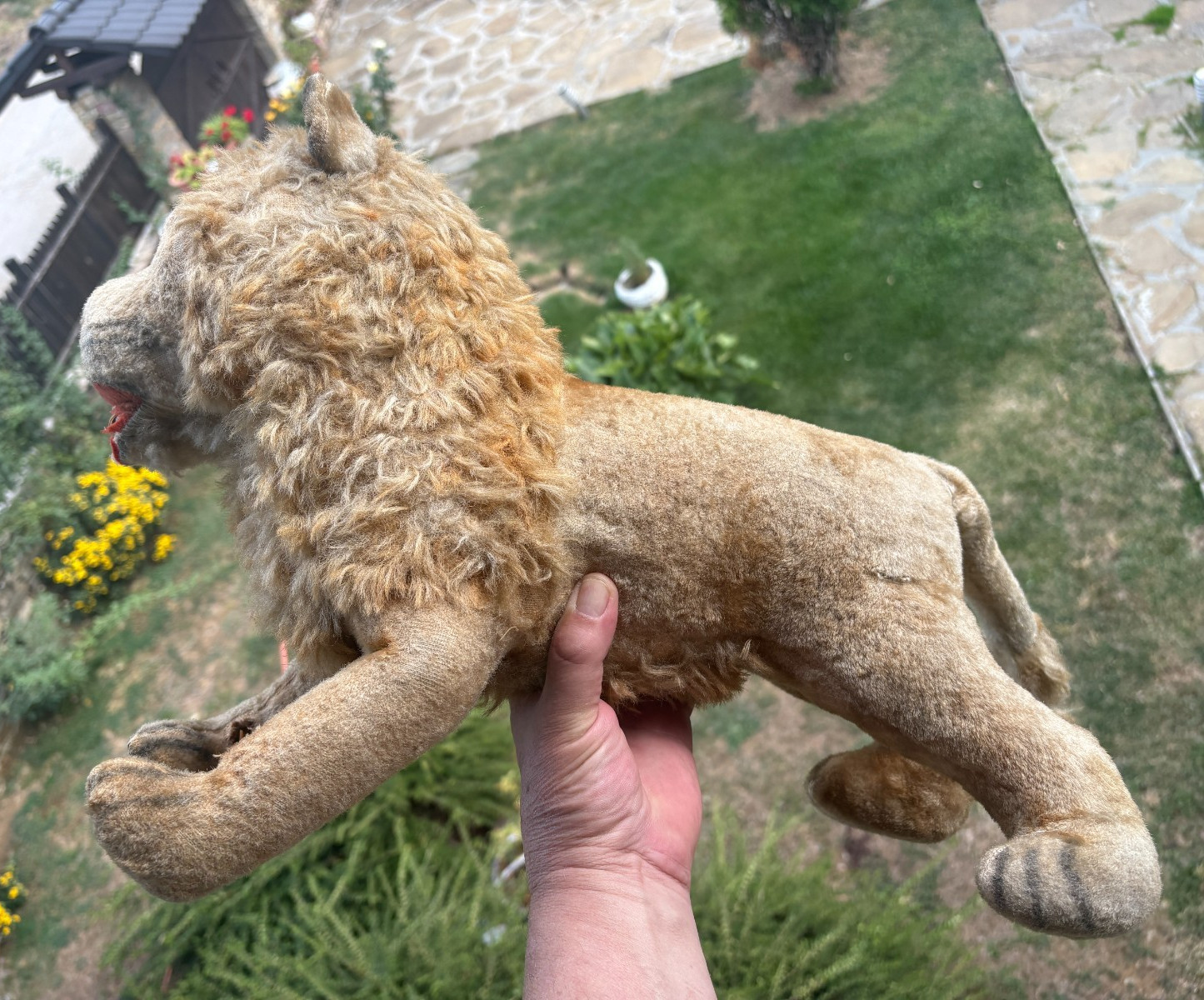 Antique German Bing Mohair Lion 24\