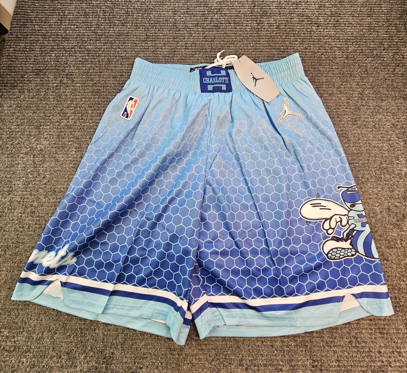 Charlotte Hornets mens Large jordan Basketball shorts new Lined