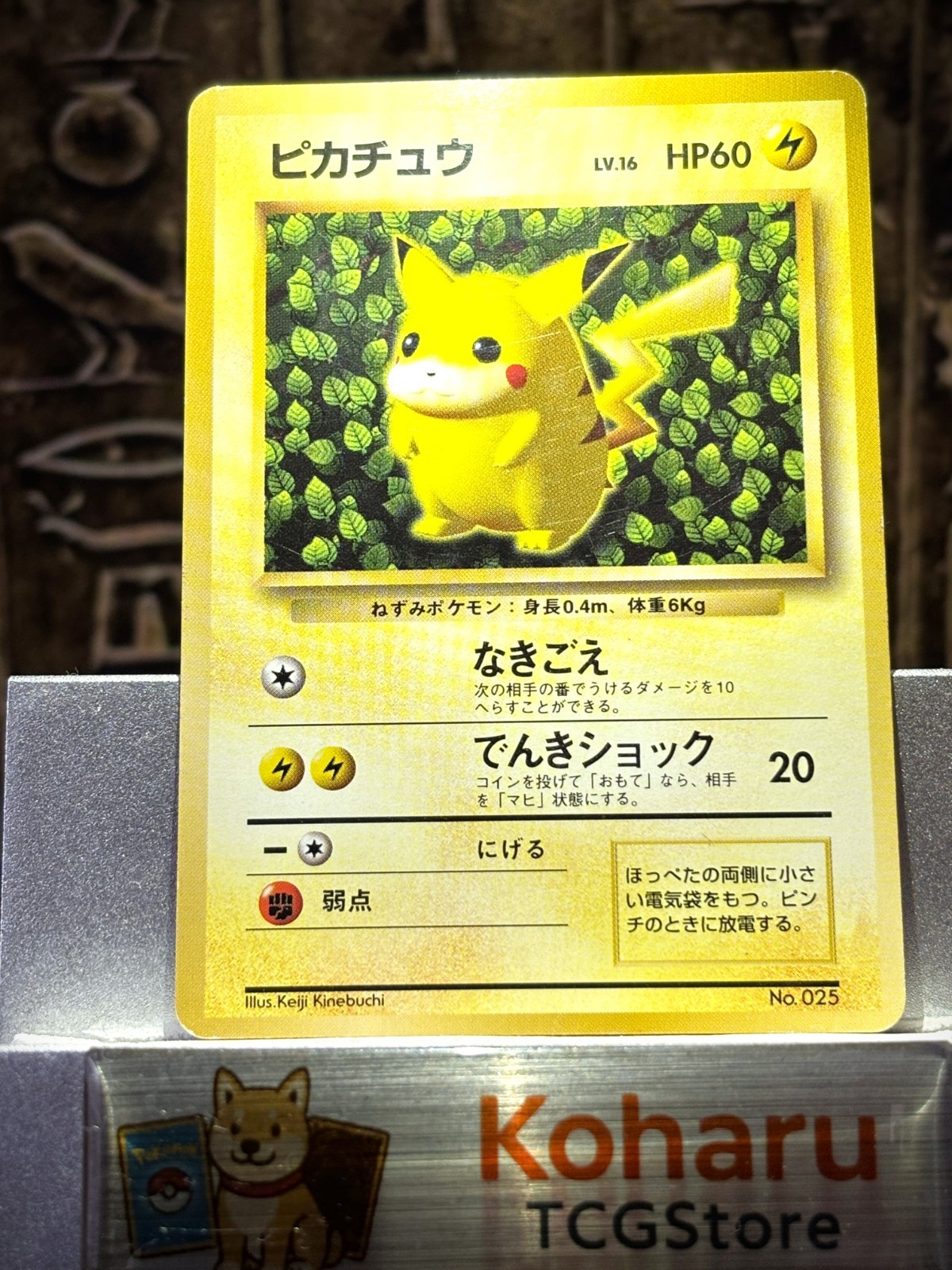 [EX+] Ivy Pikachu No.025 Non-Glossy Corocoro Comic Promo Keiji Kinebuchi