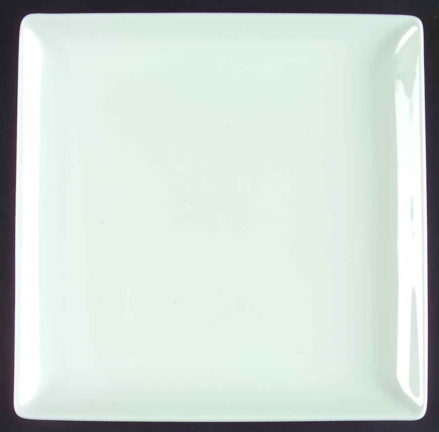 Apilco Zen Square Dinner Plate 6140382