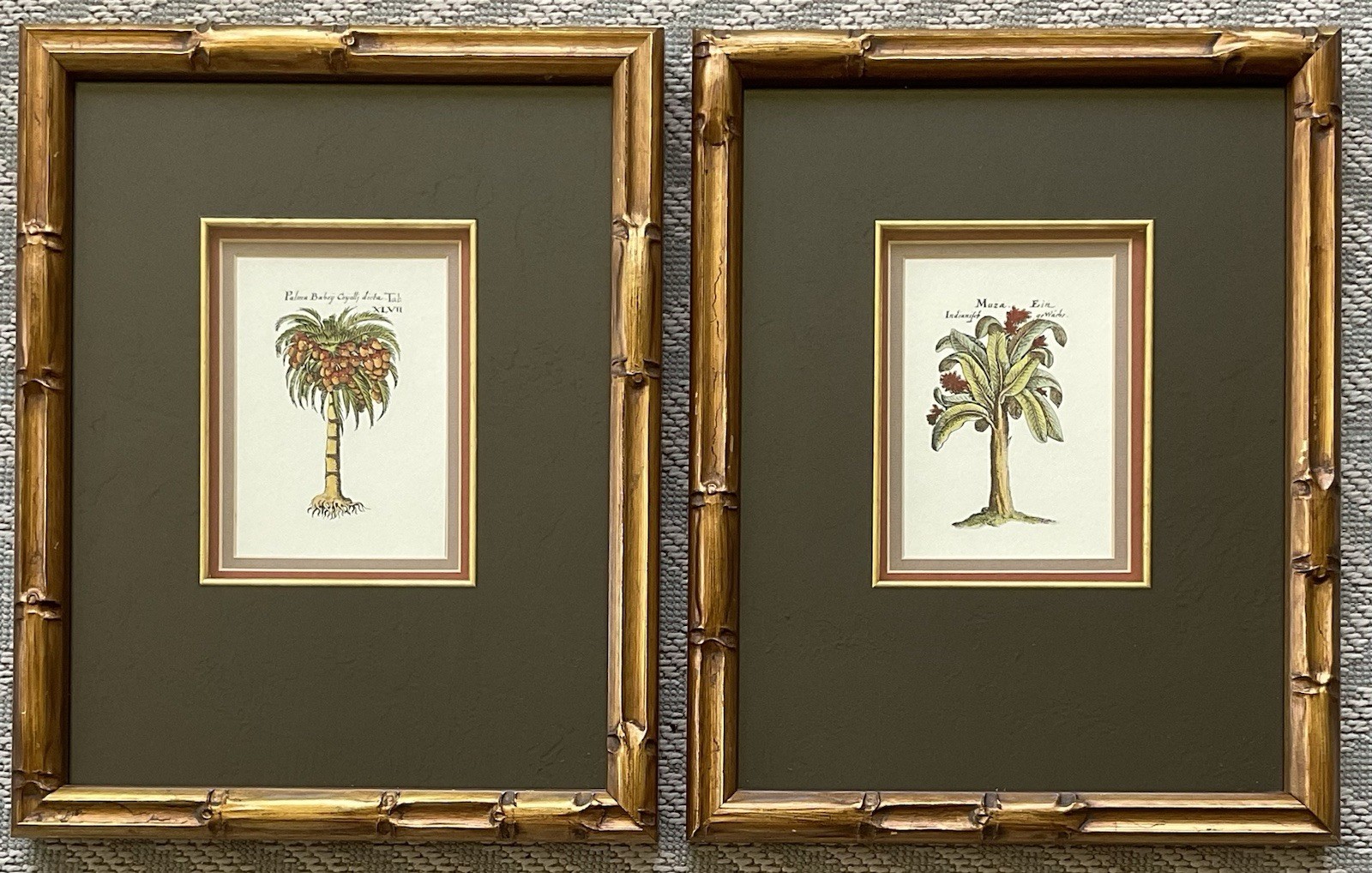 Vintage Tropical Botanical Prints Set of 2 Bamboo Frames Palm & Banana Wall Art