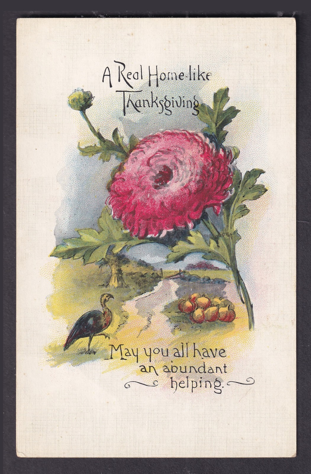 Vintage & Antique Thanksgiving Postcards ▲ You Pick
