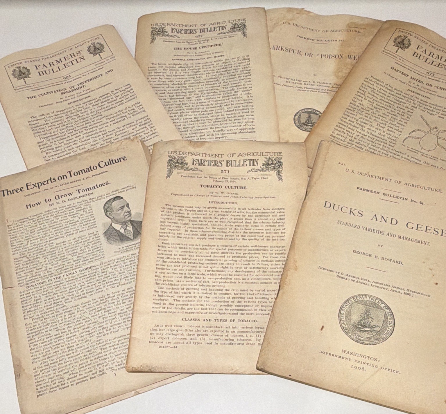 Lot 7 Antique USDA Farmers Bulletins 1901-1915 Tobacco Cigar Centipede Goose