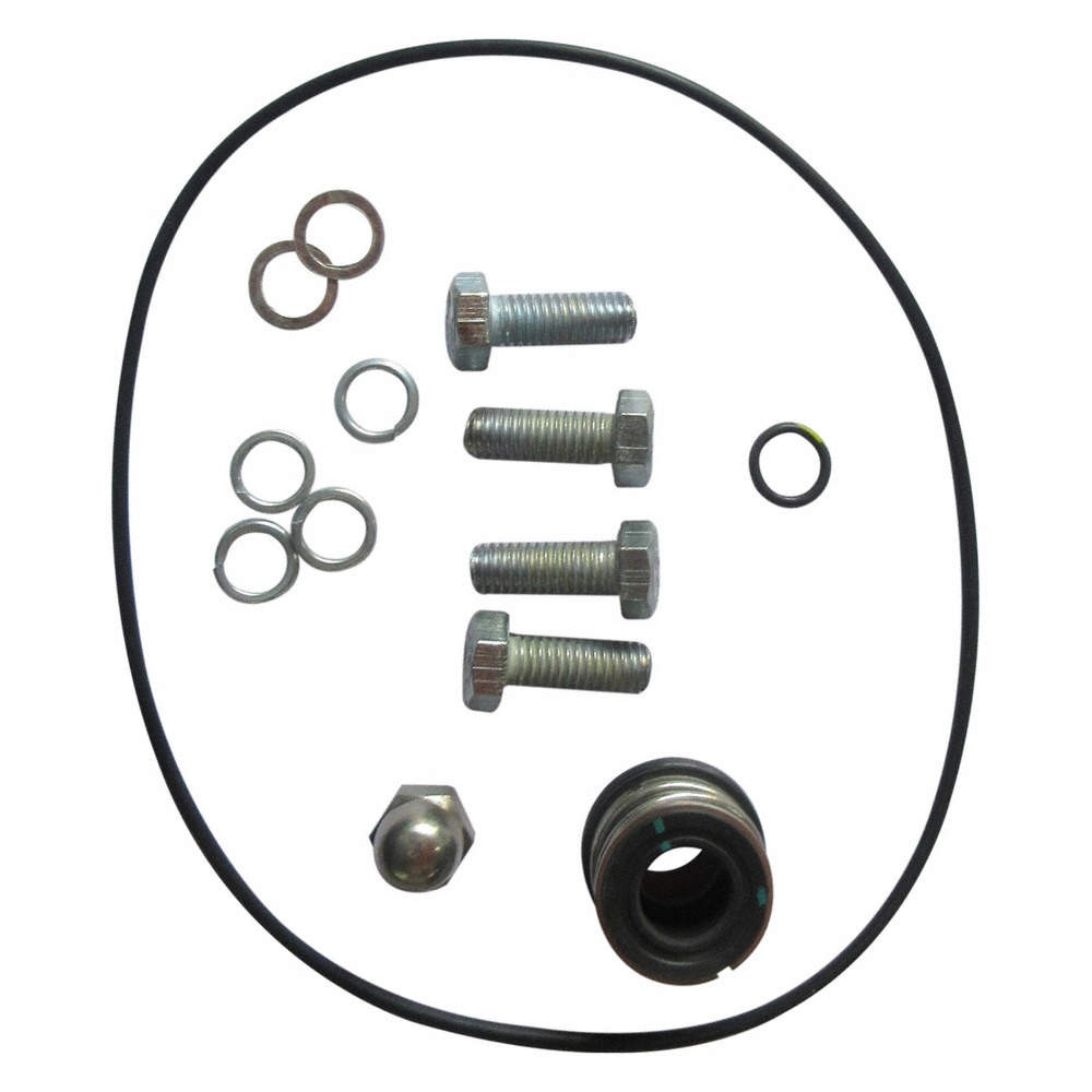 DAYTON GGS_103723 Pump Repair Kit 800VY0