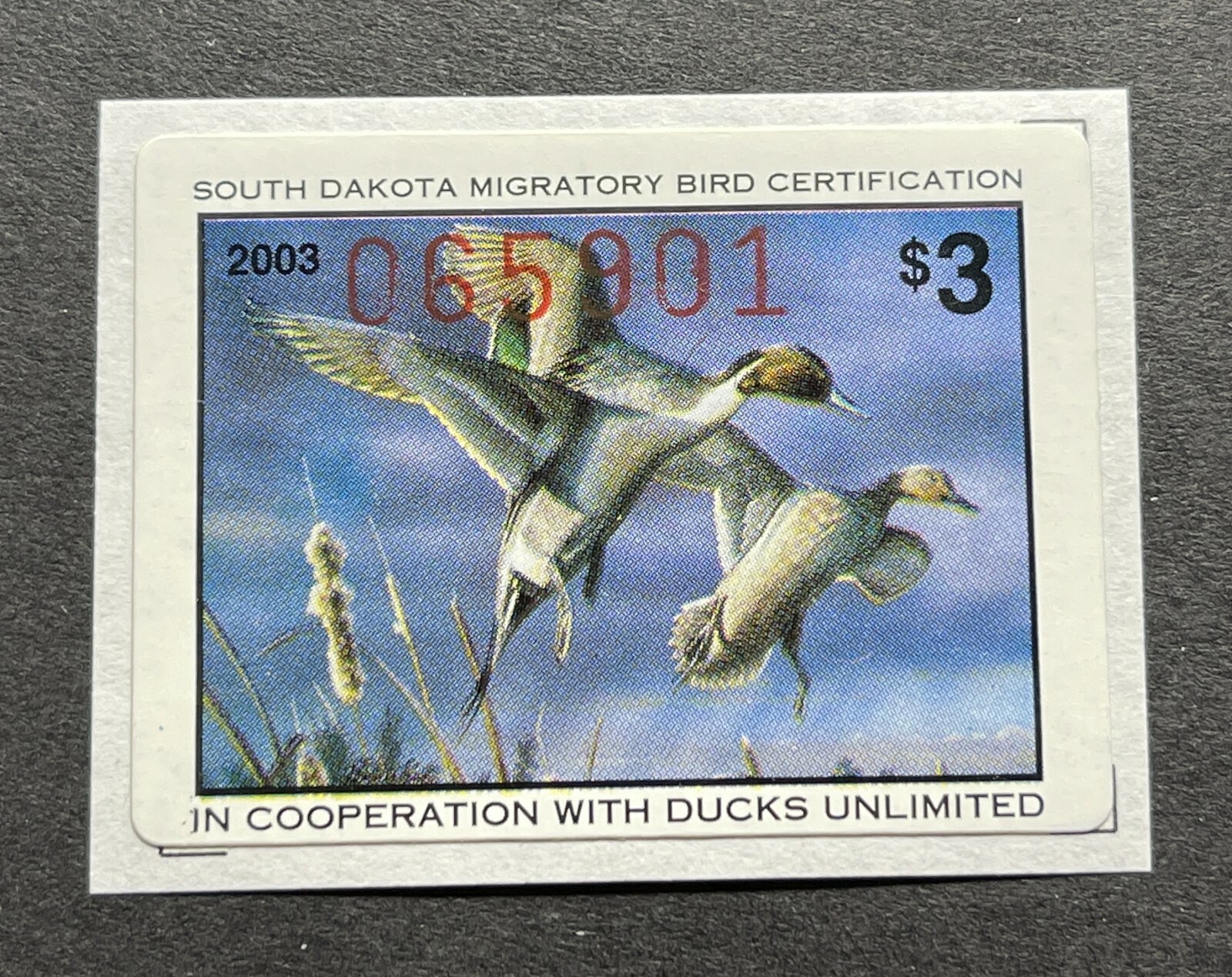 WTDstamps - 2003 SOUTH DAKOTA Dakota - State Duck Stamps - Mint OG NH
