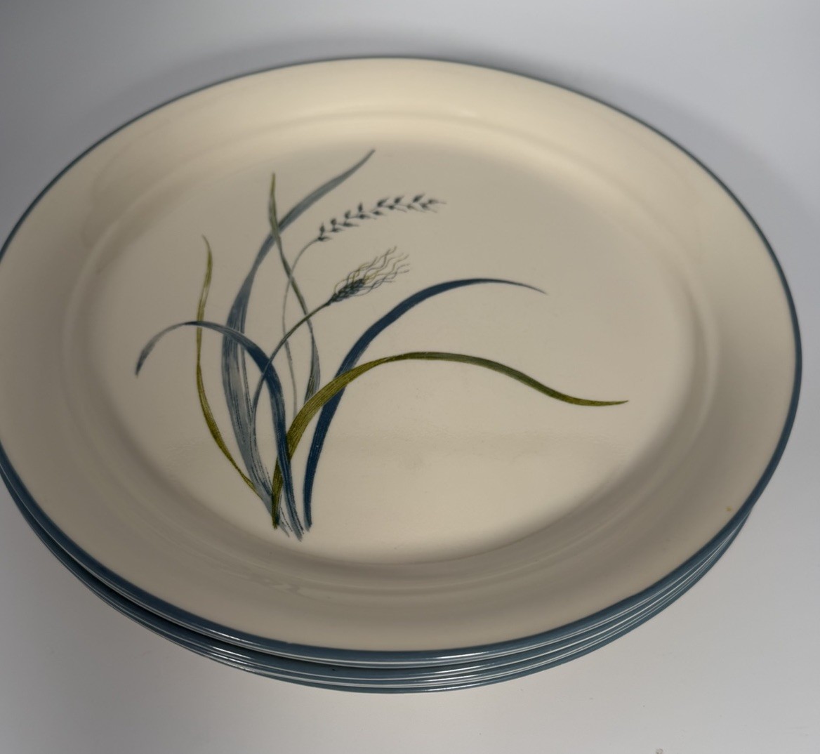 Corelle Coastal Breeze Dinner Plates 10.25” Set of 6 Blue Green Wheat USA