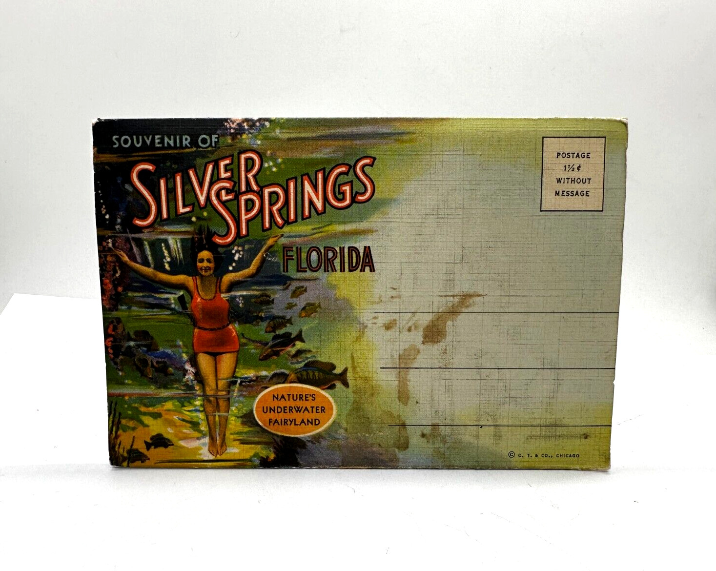 VTG 1930s Florida Postcard Foldout Florida Silver Springs Linen Postcard Folder VTG 1930s Florida Postcard Foldout Florida Silver Springs Linen Postcard Folder