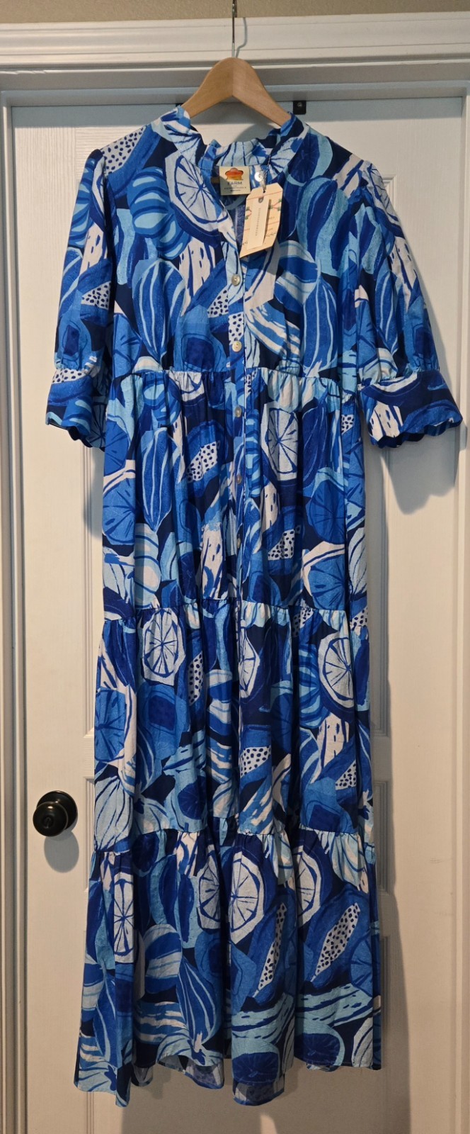 RARE NWT Farm Rio x Anthropologie dress, size large, blue and white floral print
