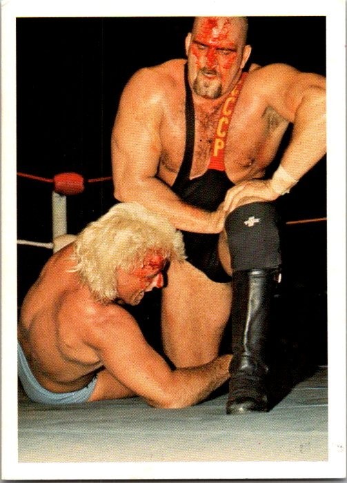 1988 Wonderama NWA - Ric Flair, Nikita Koloff #89 NWA on Back 1988 Wonderama NWA - Ric Flair, Nikita Koloff #89 NWA on Back