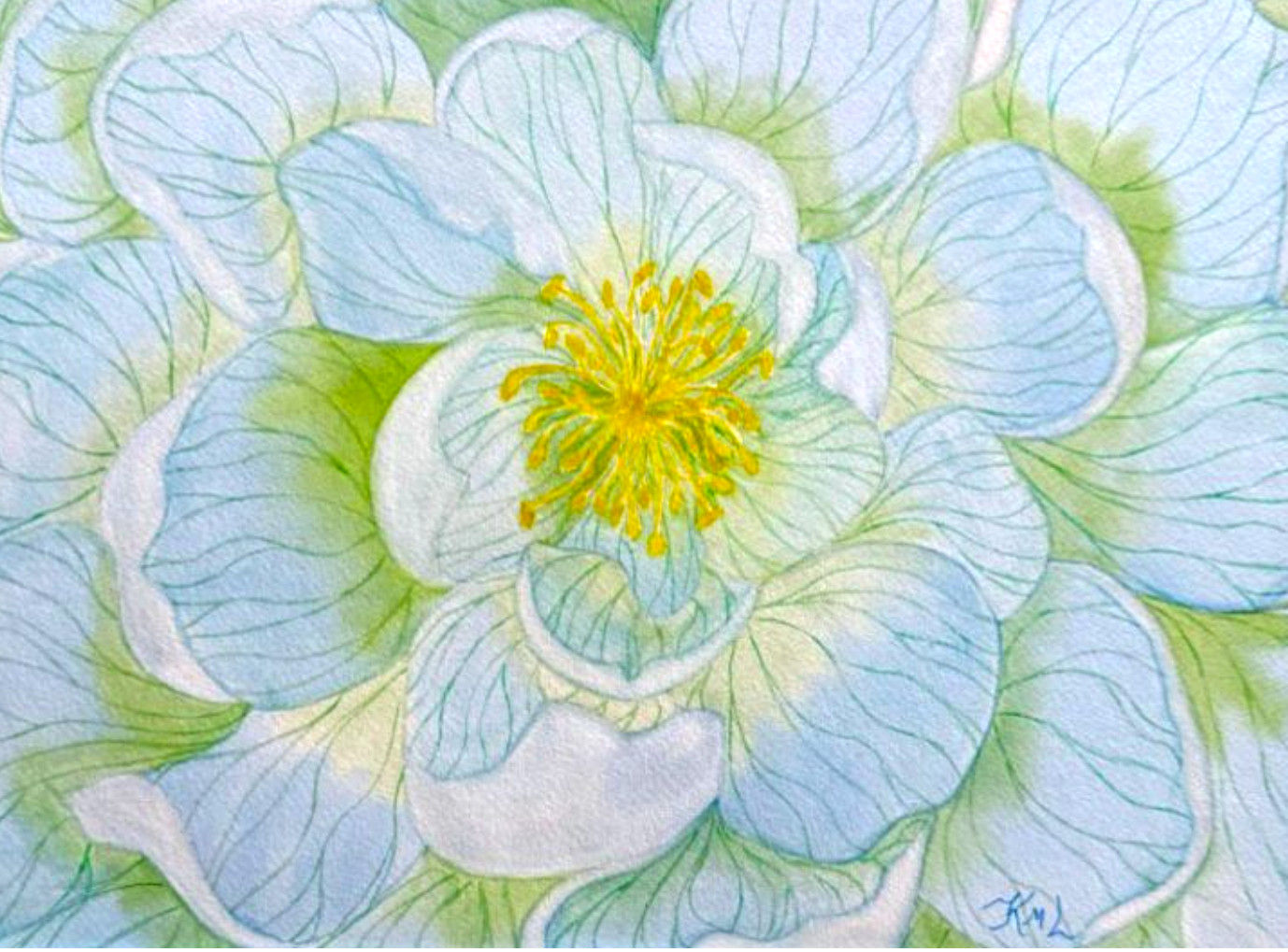 PAINTING WATERCOLOR 11X14 AND WHITE MAT 16X20 FLOWER POPPY BLUE GREEN YELLOW ART PAINTING WATERCOLOR 11X14 AND WHITE MAT 16X20 FLOWER POPPY BLUE GREEN YELLOW ART