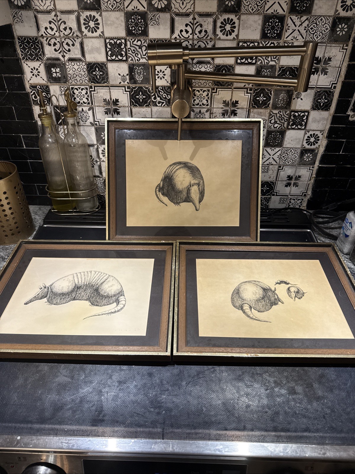 Vintage Hand Drawn Art Armadillo Signed 1978 Professionally Framed And Matted Vintage Hand Drawn Art Armadillo Signed 1978 Professionally Framed And Matted