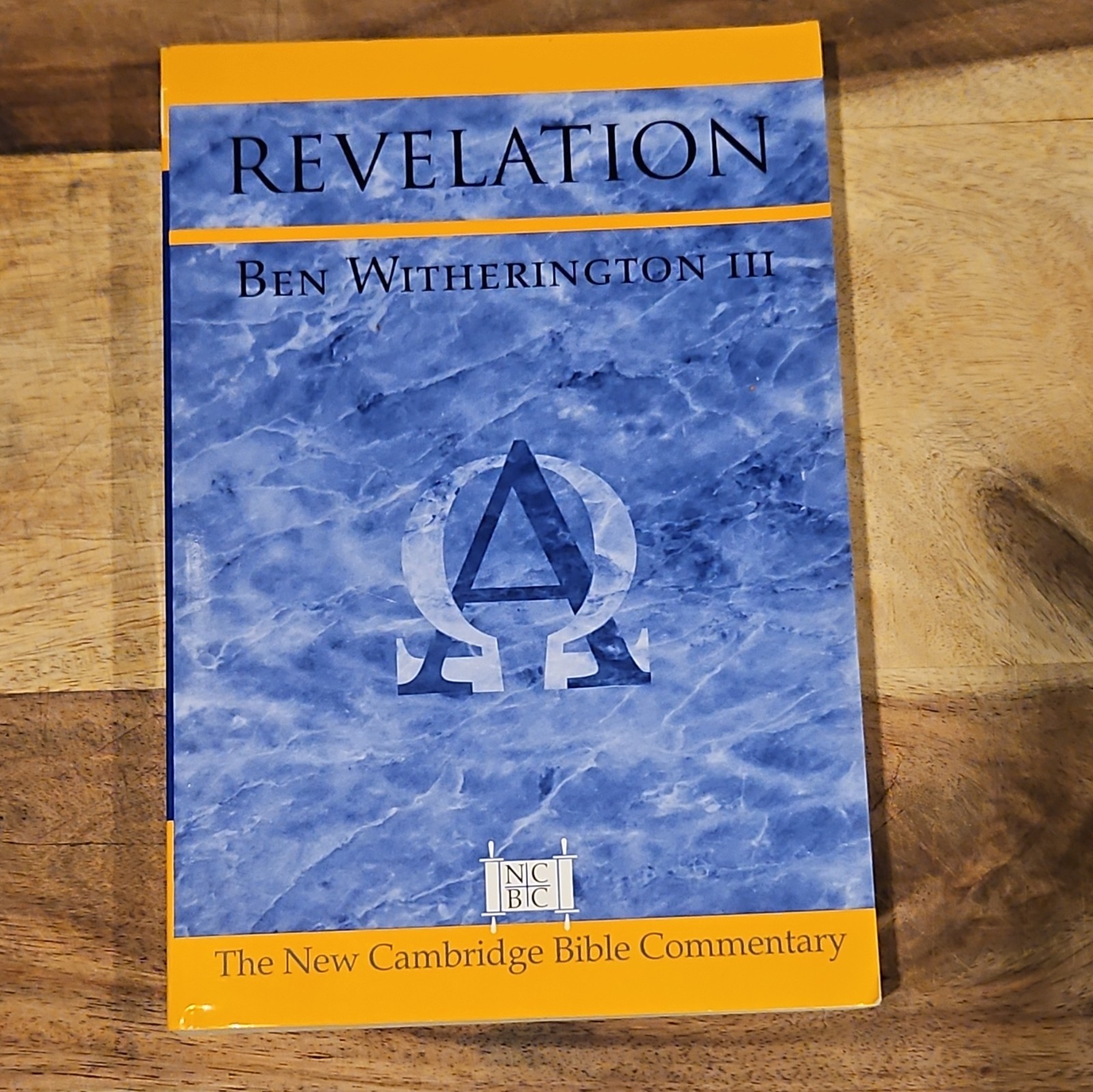Cambridge Univ Press New Cambridge Bible Commentary: Revelation PB 2003 1st Cambridge Univ Press New Cambridge Bible Commentary: Revelation PB 2003 1st