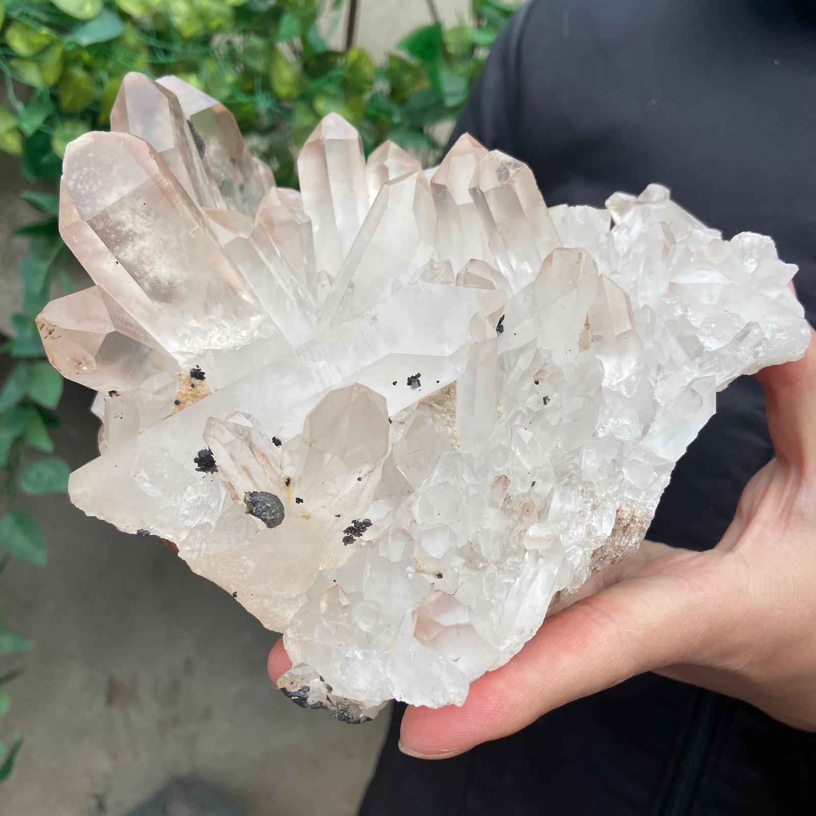 4.1LB A++Large Natural clear white Crystal Himalayan quartz cluster /mineralsls