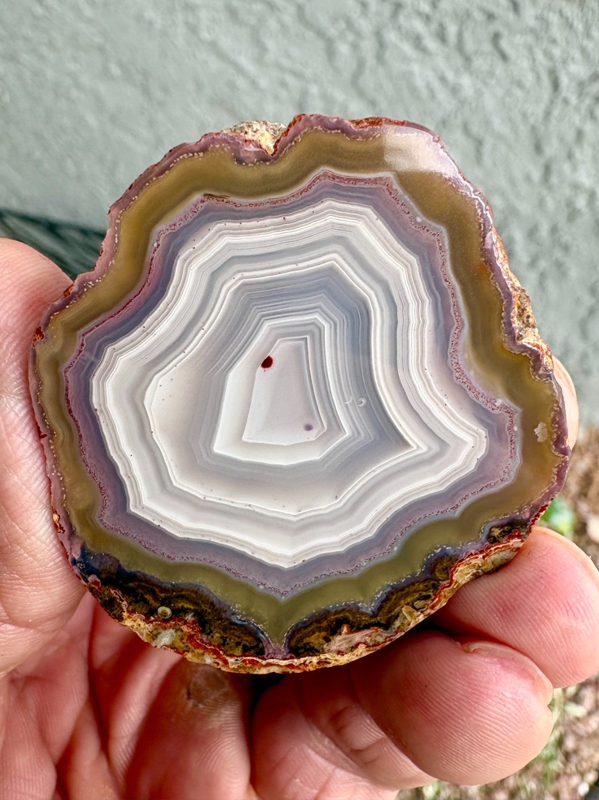 Pale White, Purple & Green Laguna Agate Polished Specimen Pale White, Purple & Green Laguna Agate Polished Specimen