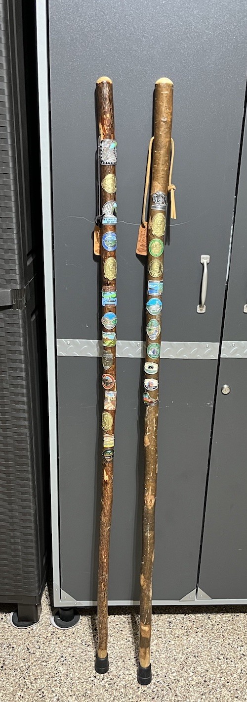 2 Brazos Walking Sticks Hiking w American Metal Medallions Badges 55”