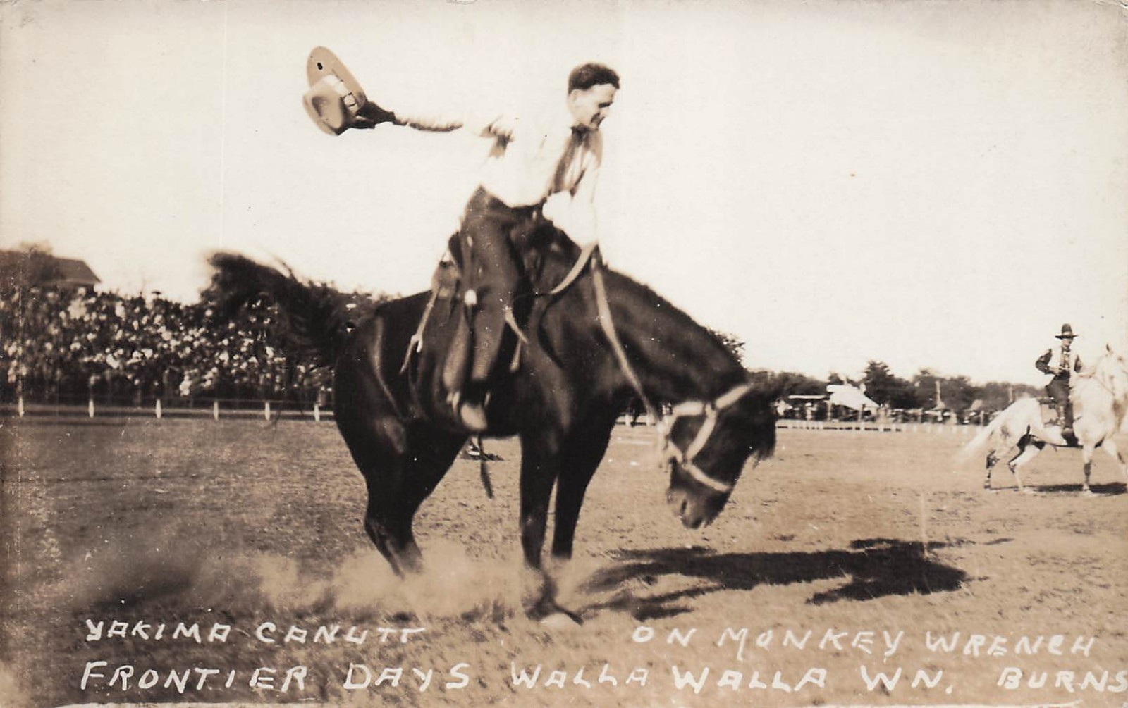 RPPC Walla Walla Frontier Days Rodeo Cowboy Bucking Horse Photo Postcard 7A