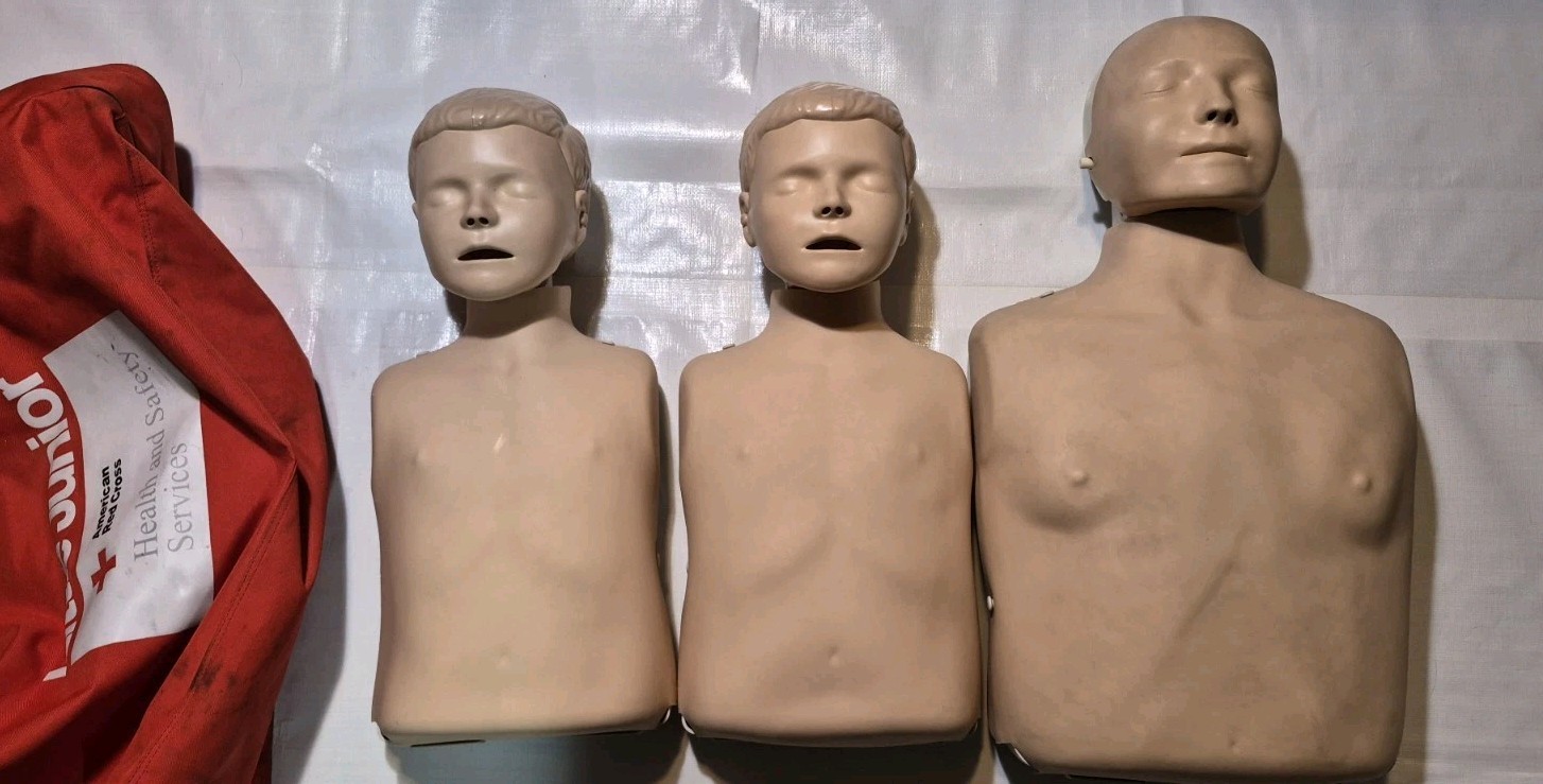 3 Laerdal Little Junior & Anne CPR Trainer Manikin Torso Breathing Compression 3 Laerdal Little Junior & Anne CPR Trainer Manikin Torso Breathing Compression