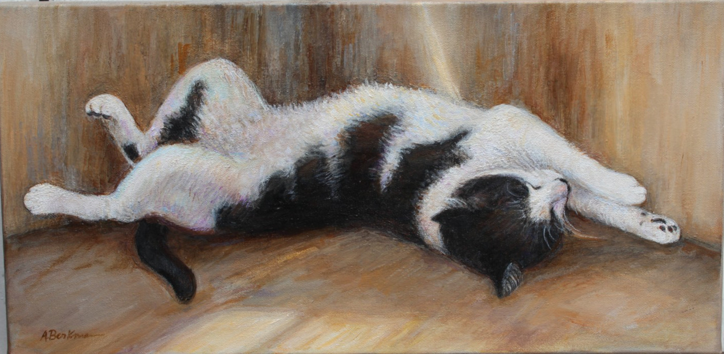 Original Acrylic Painting Long Nap Tuxedo Cat Asleep Berkman