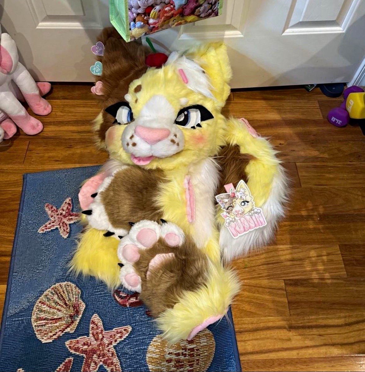 100%Handmade fursuit partial premade head tail & Paws dm for more info