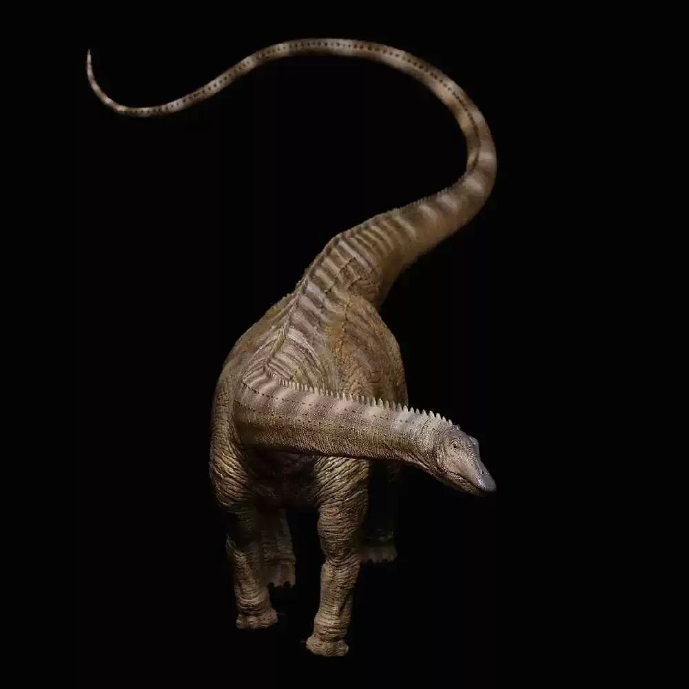 REBOR 1/35 Diplodocus Dinosaur Model Animal Figure Adult  Toys Ornament Gift