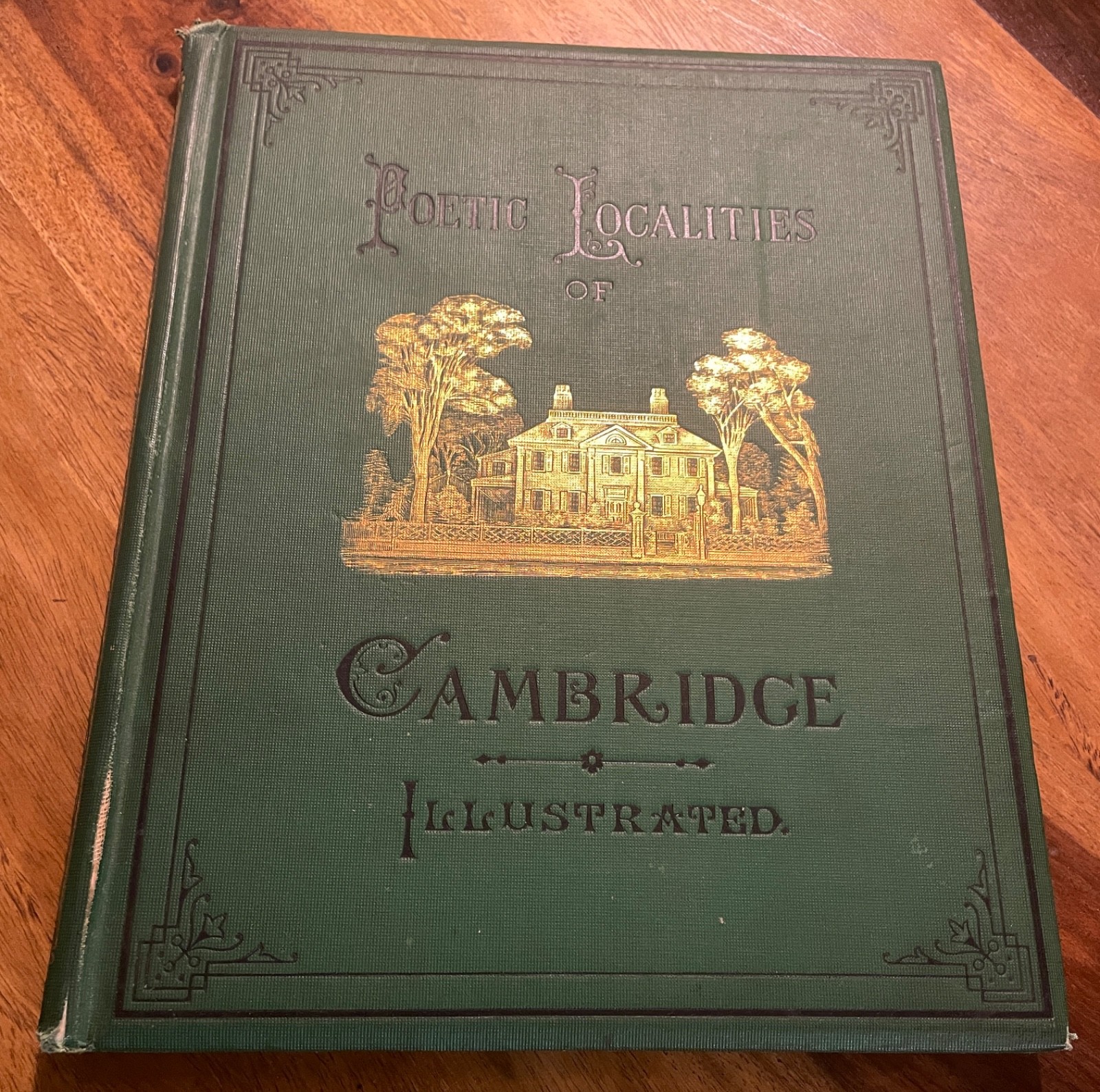 1876 Antique Decorative Gilt Cambridge Book Stillman Heliotype Photography Photo