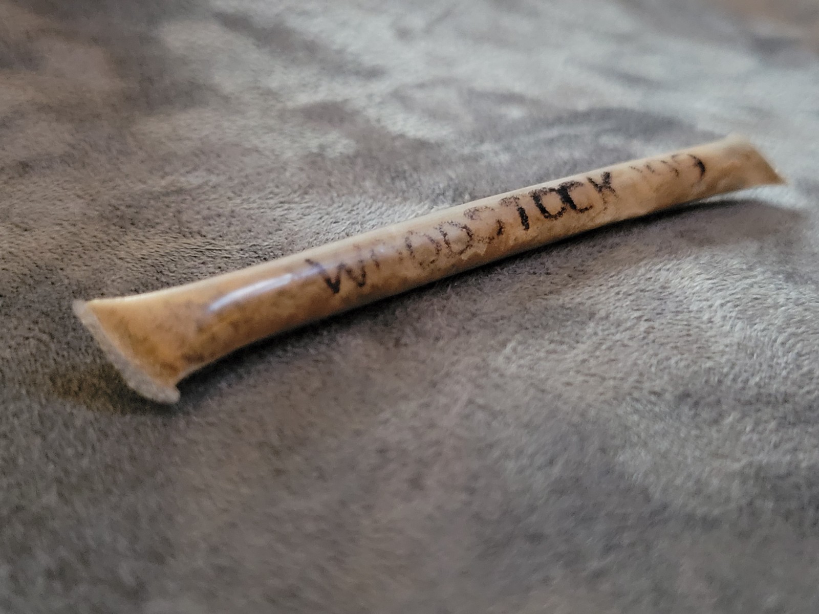 Woodstock \'99 concert mud dirt music festival souvenir rock memorabilia 1999 NY