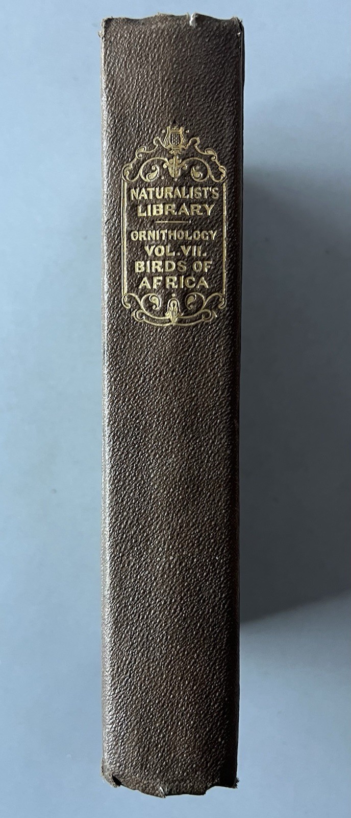 Antique 1837 The Naturalists Library Ornitology Vol VII Birds Of Western Africa Antique 1837 The Naturalists Library Ornitology Vol VII Birds Of Western Africa