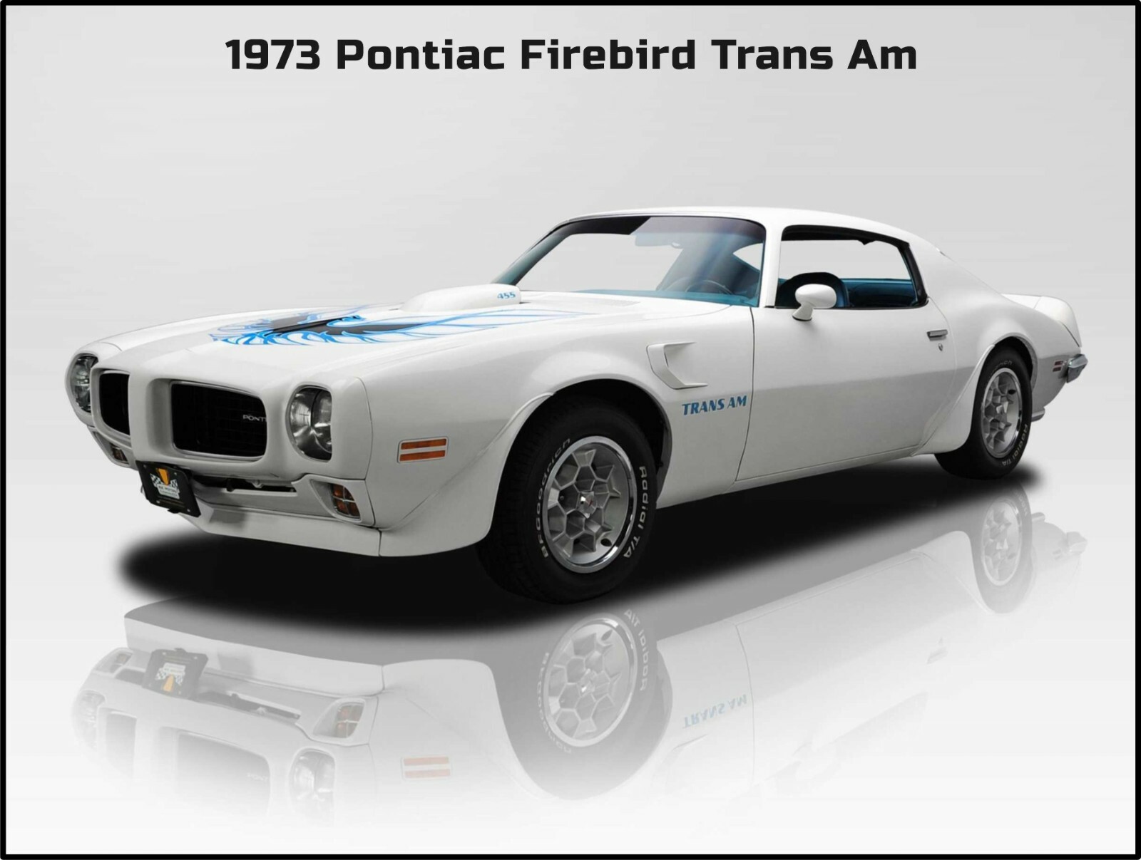 1973 Pontiac Firebird Trans Am NEW Metal Sign: Large Size 12 x 16\