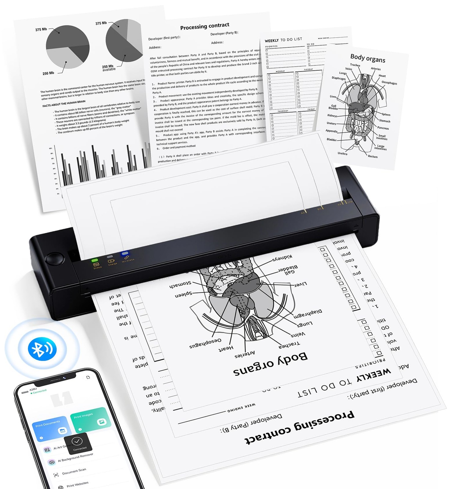 TATTMUSE A28U Portable Printer Wireless Inkless Thermal for Travel 8.5 x 11 |... TATTMUSE A28U Portable Printer Wireless Inkless Thermal for Travel 8.5 x 11 |...